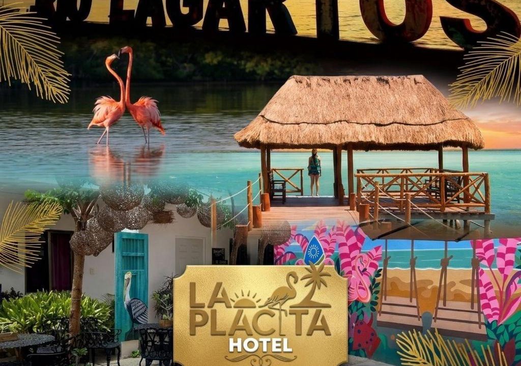 Rio Lagartos Hotel | La placita hotel