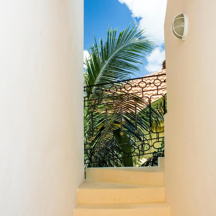 Luis Donaldo Colosio Hotel | Hotel Sol Playa