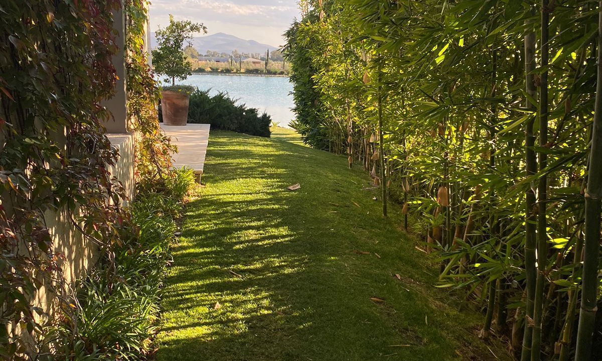 Photo of Outdoor in San Miguel de Allende