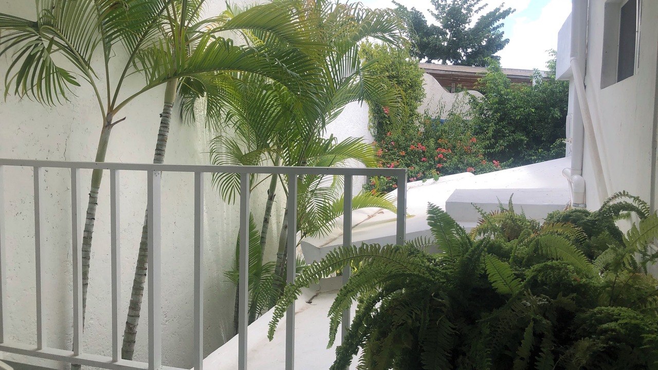 Photo of Livingroom in San Miguel