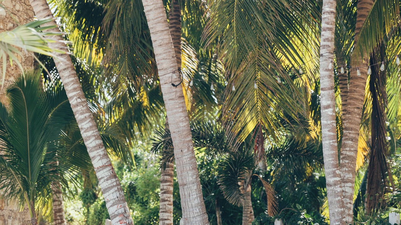 Photo of Outdoor in El Cuyo