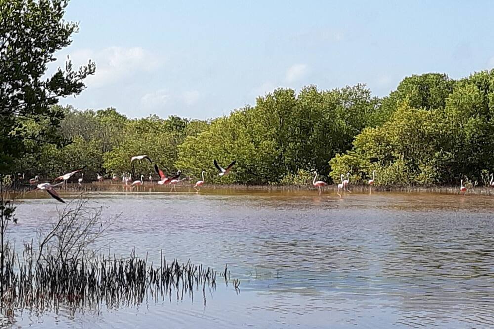 Photo of Outdoor in Hunucma