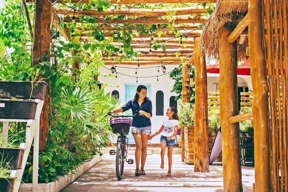 Photo of Outdoor in Colonia Adolfo Lopez Mateos