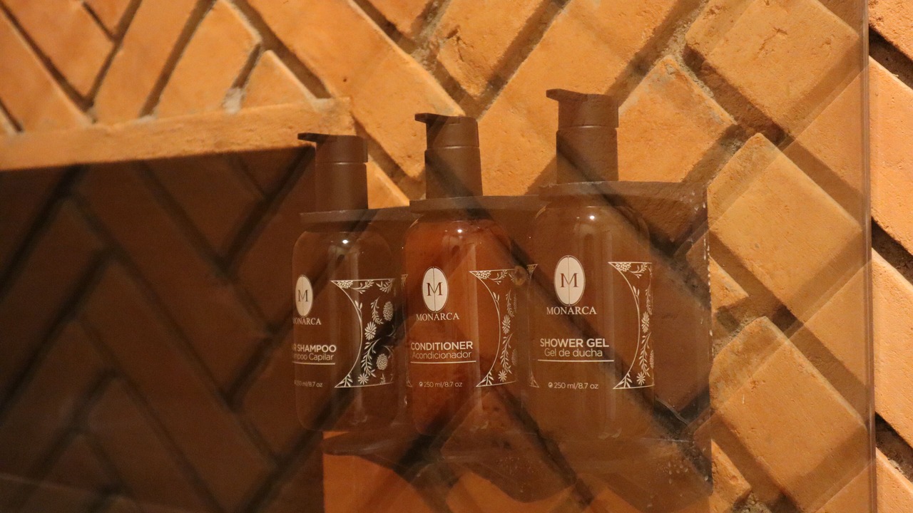 Photo of Bathroom in San Luis Potosi