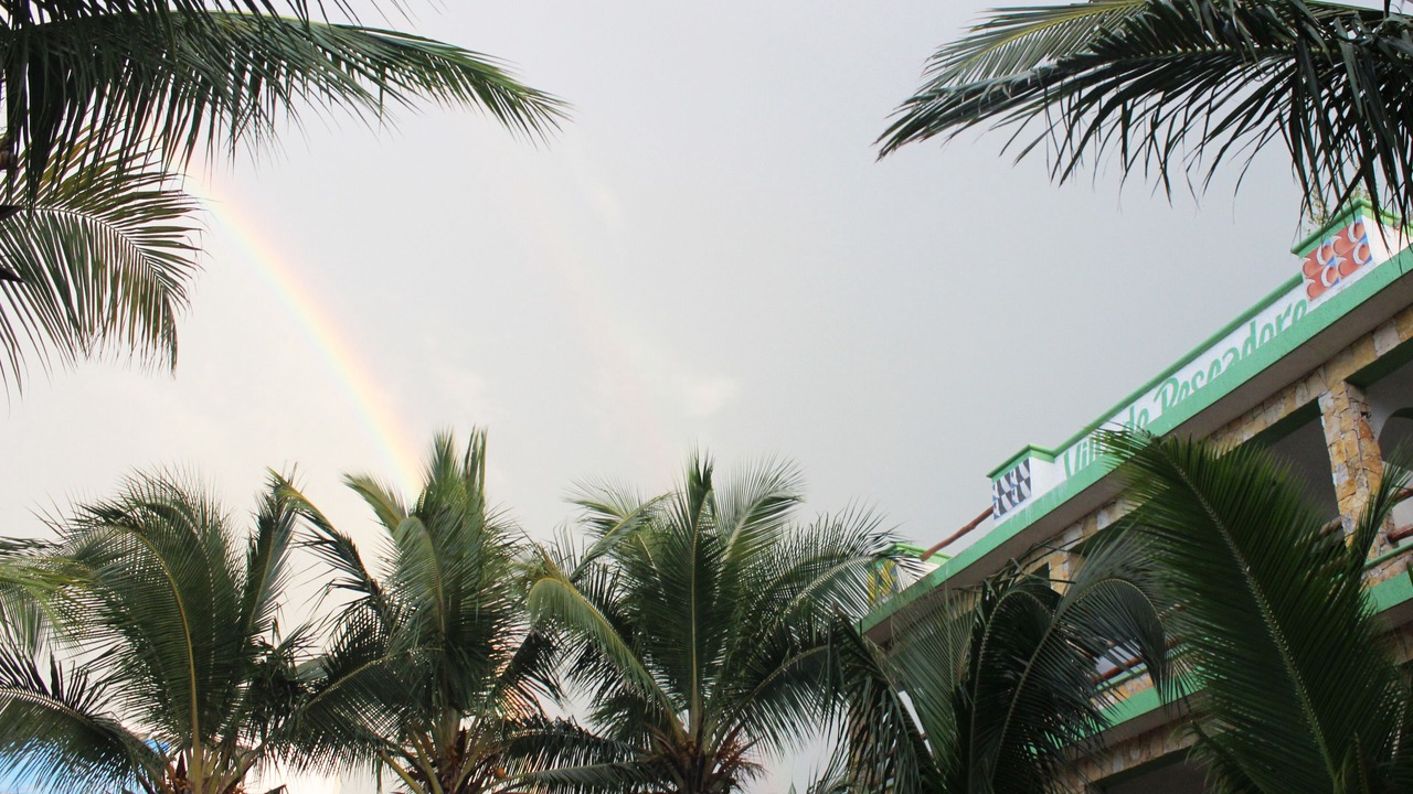 Photo of Outdoor in Rio Lagartos