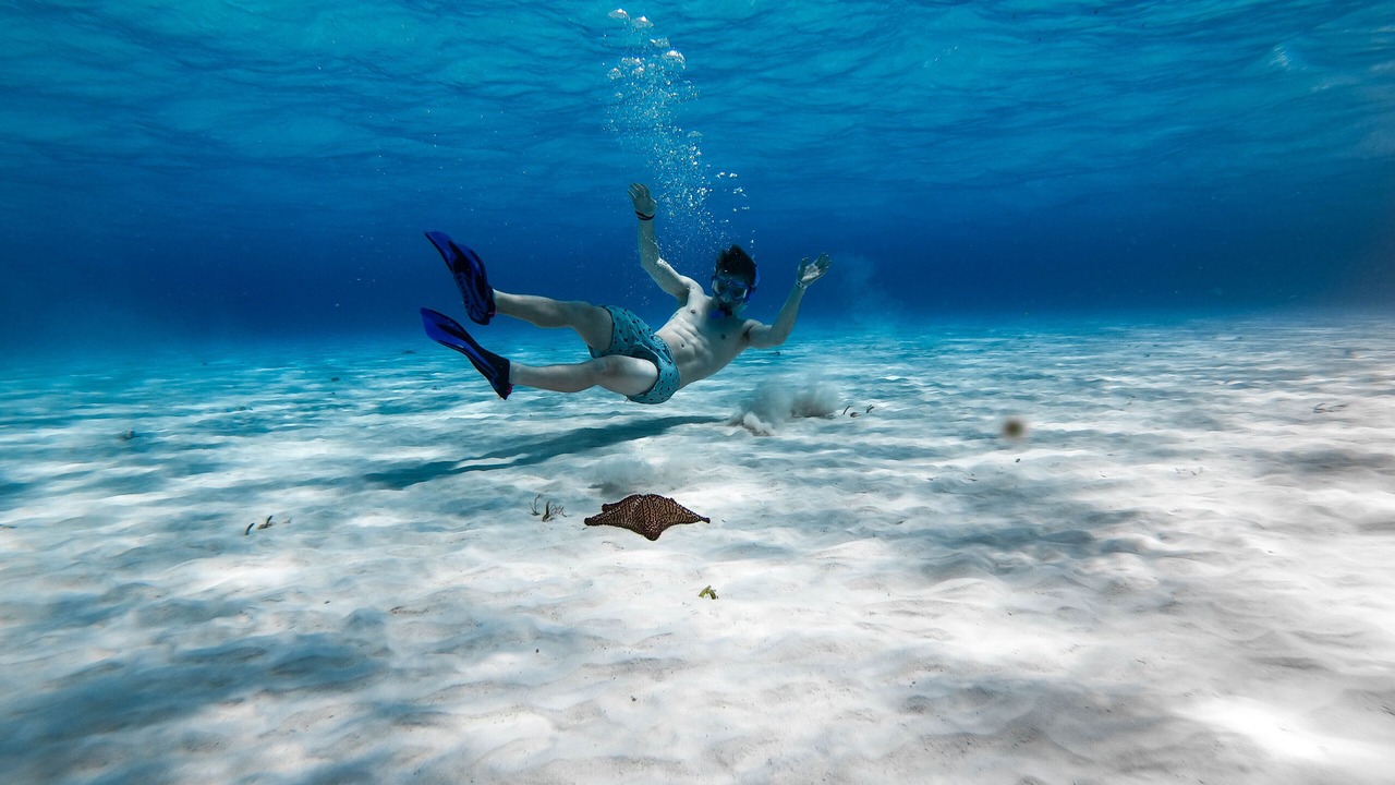 Photo of Others in Cozumel