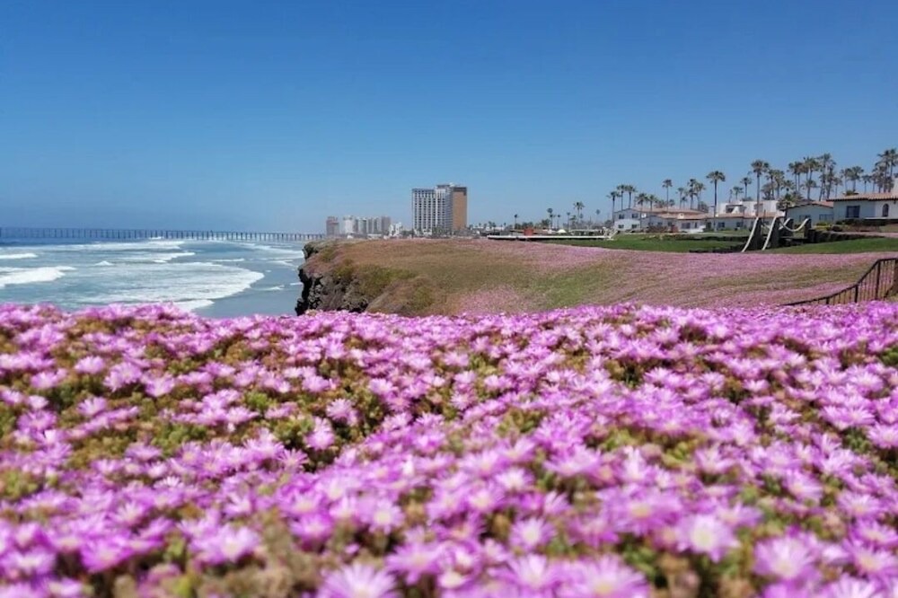Photo of Others in Rosarito
