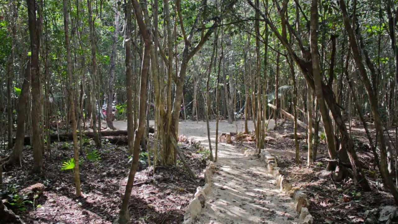 Photo of Outdoor in Puerto Morelos