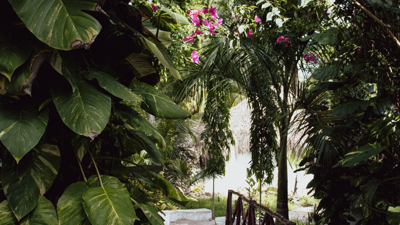 Photo of Outdoor in Bacalar