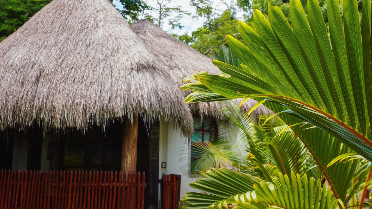 Photo of Others in Bacalar