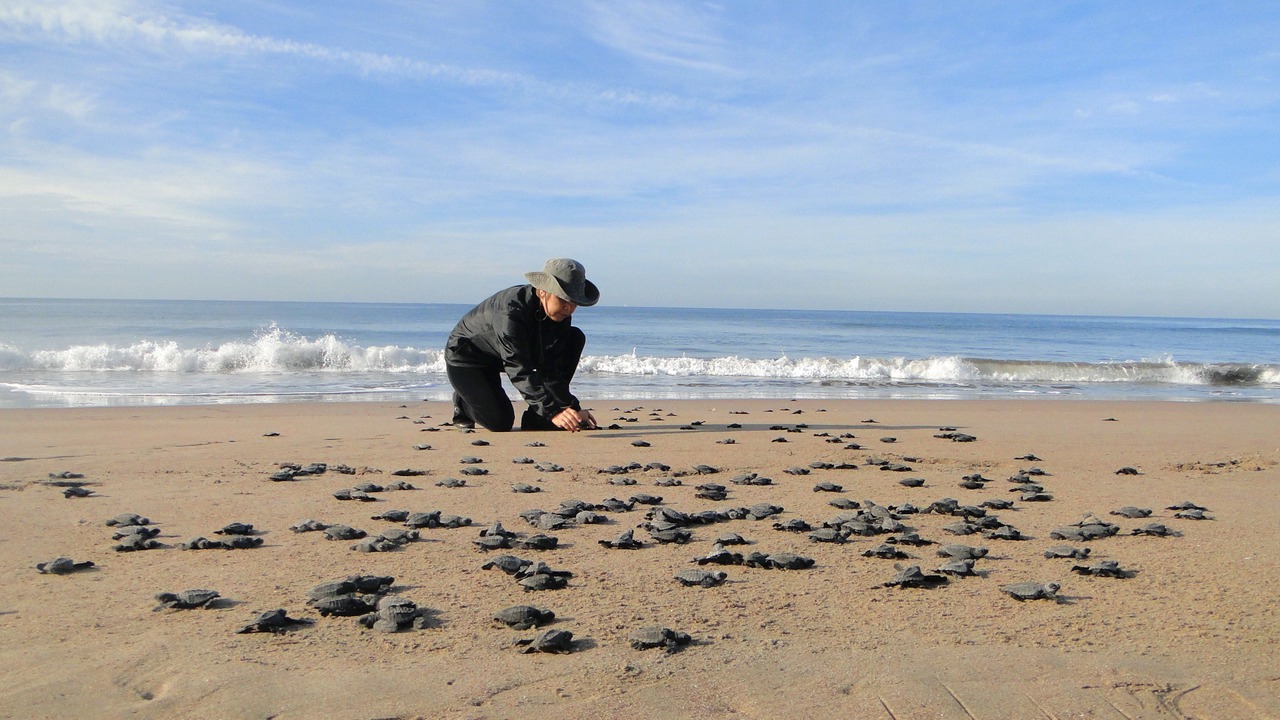 Photo of Others in Mazatlan
