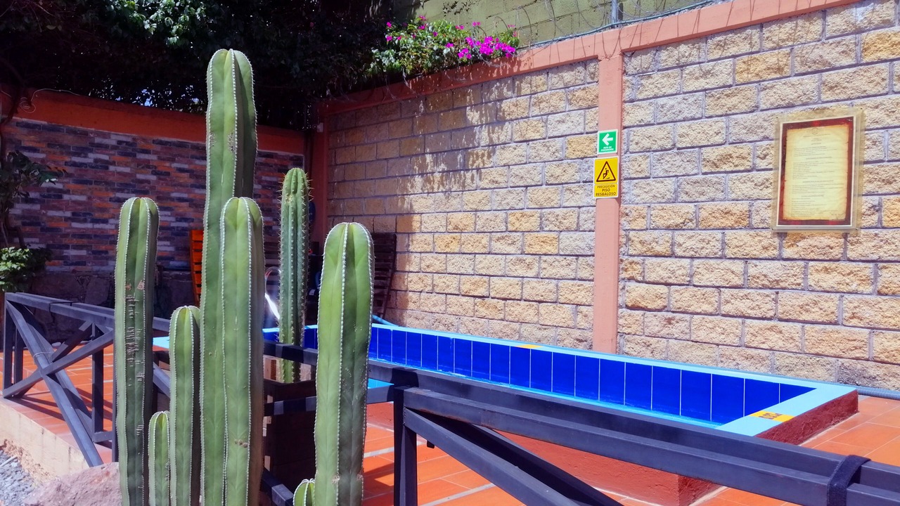 Photo of Outdoor in San Juan del Rio