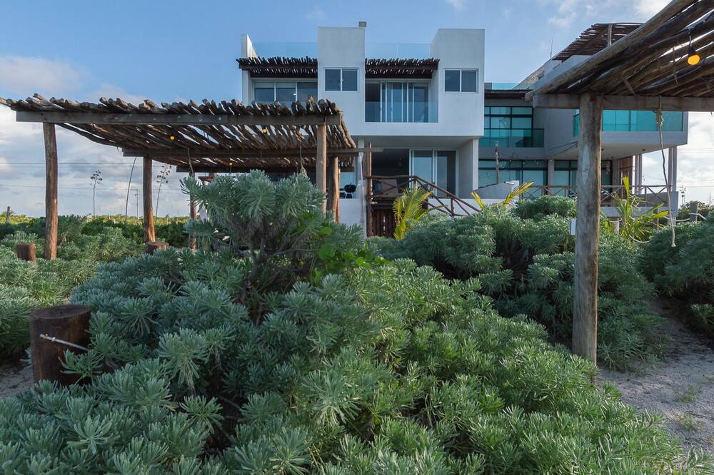 Photo of Outdoor in San Benito