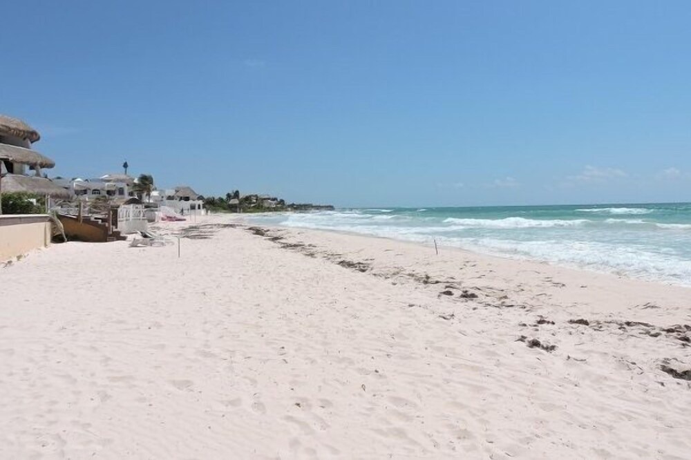 Photo of Others in Playa del Secreto
