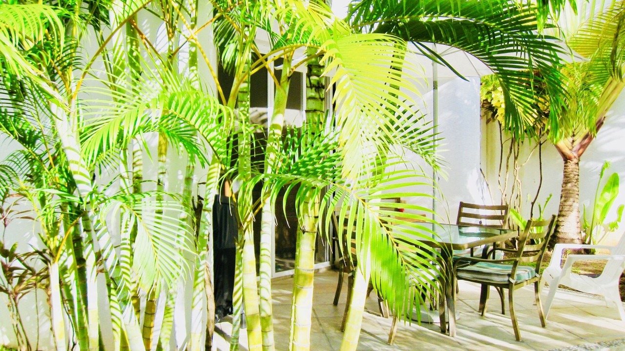 Photo of Patio Balcony in Ejidal