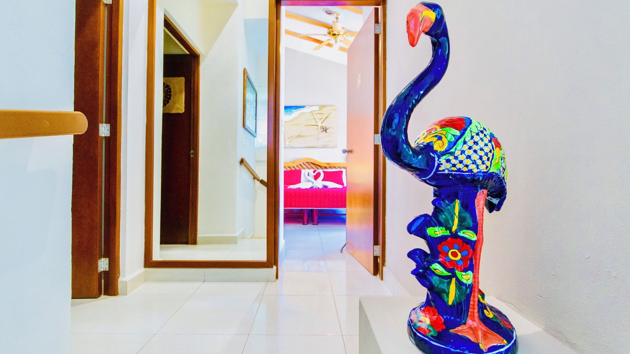 Photo of Outdoor in Playacar