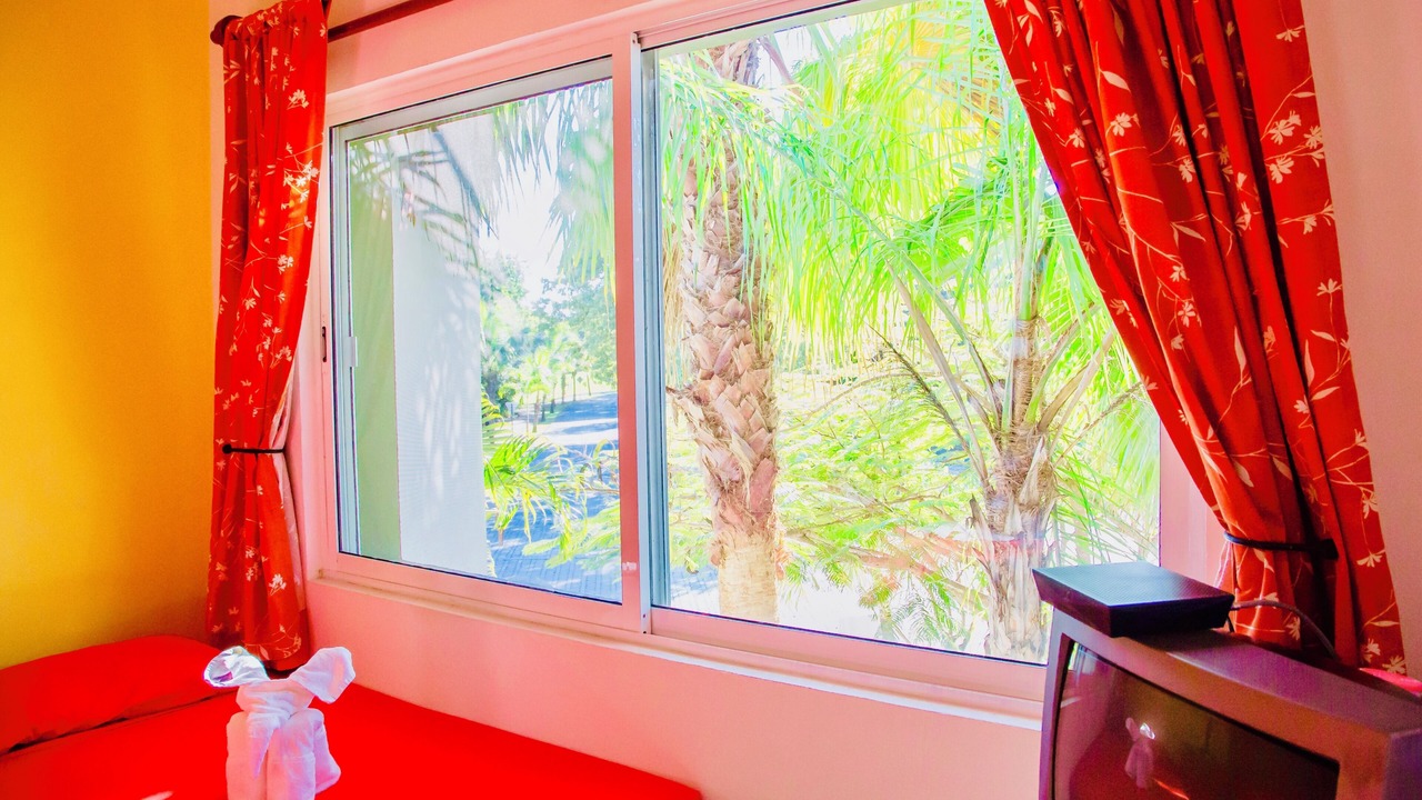 Photo of Outdoor in Playacar