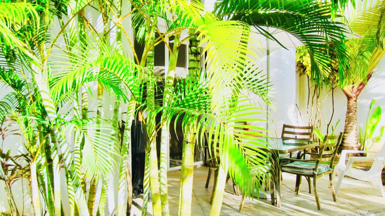 Photo of Outdoor in Playacar