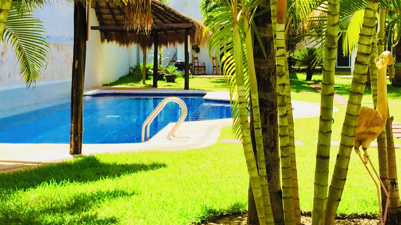 Photo of Outdoor in Playacar