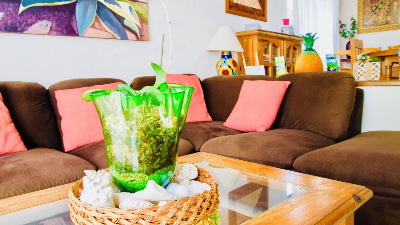 Photo of Patio Balcony in Playacar