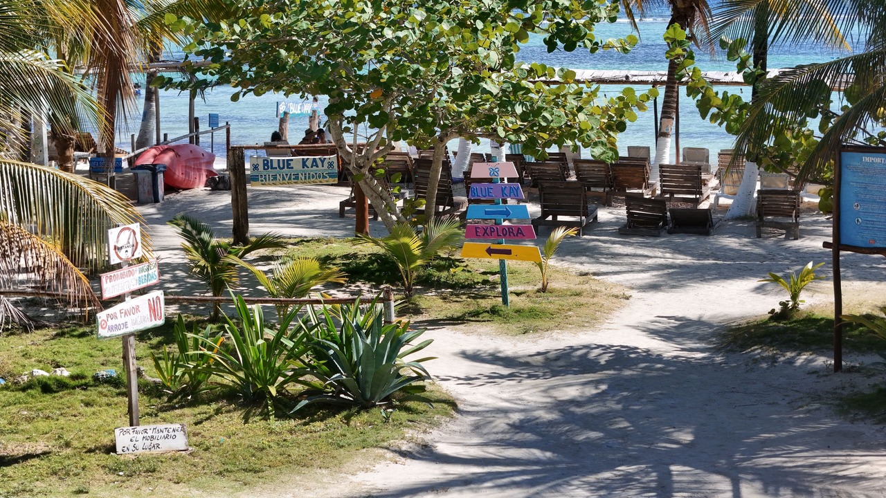 Photo of Others in Majahual