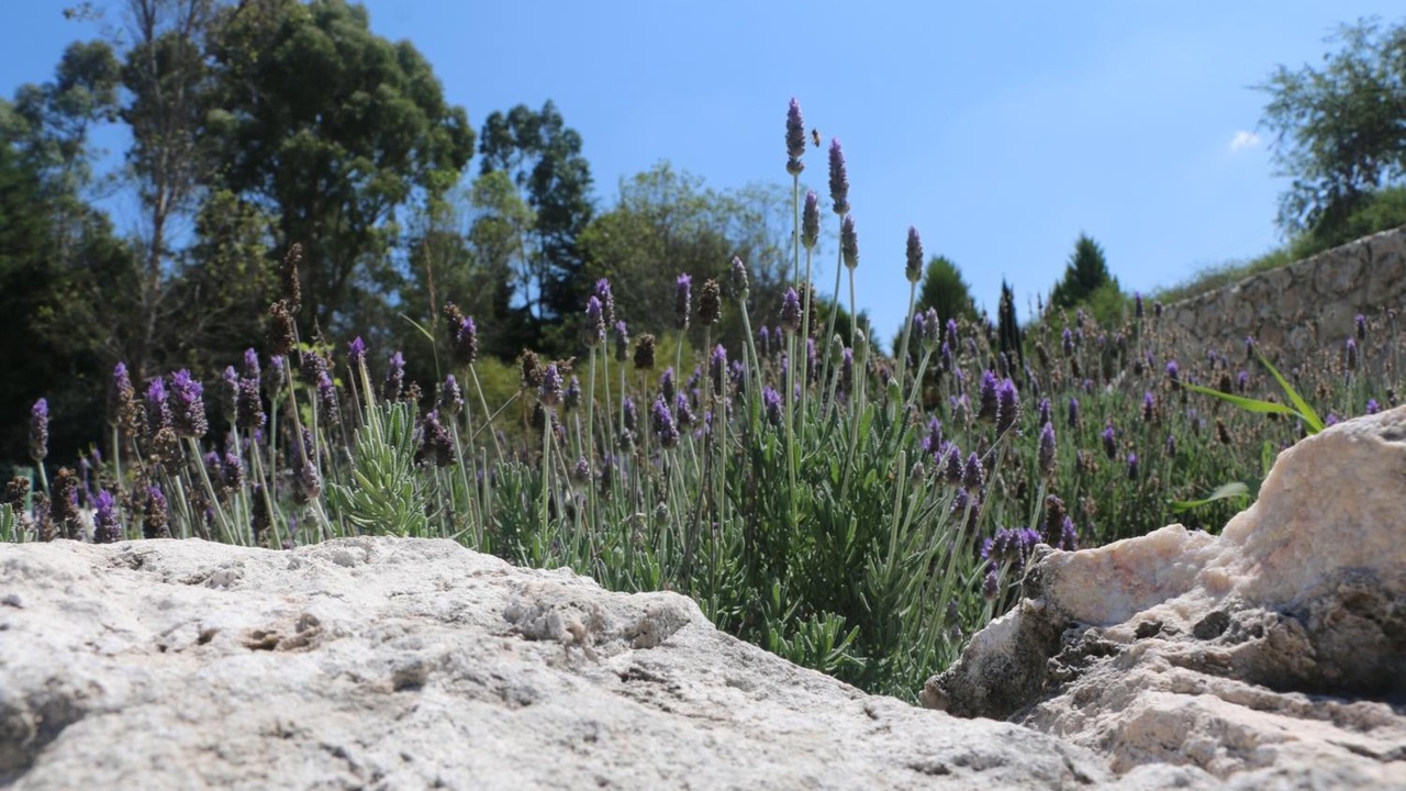 Photo of Outdoor in Atotonilco