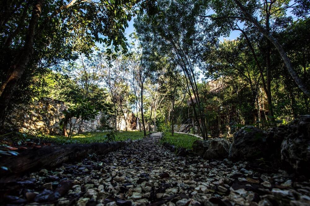 Photo of Outdoor in Macario Gomez
