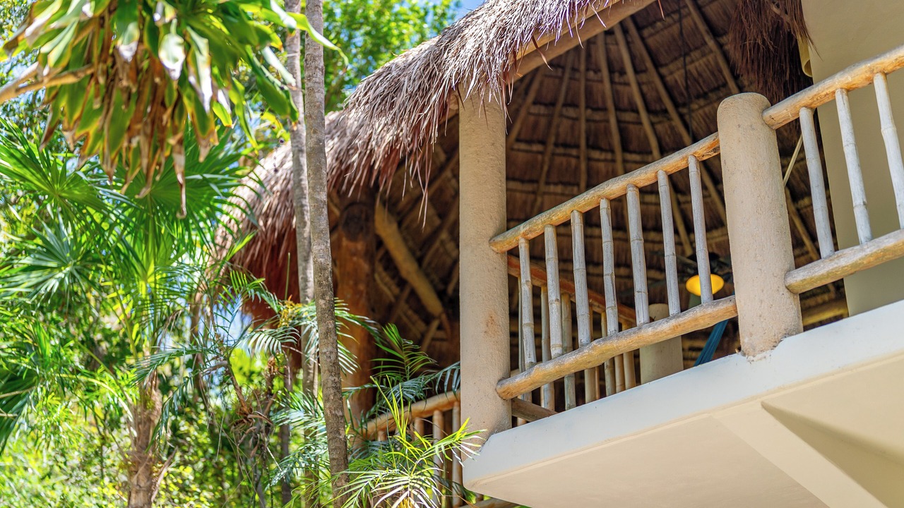 Photo of Outdoor in Gonzalo Guerrero