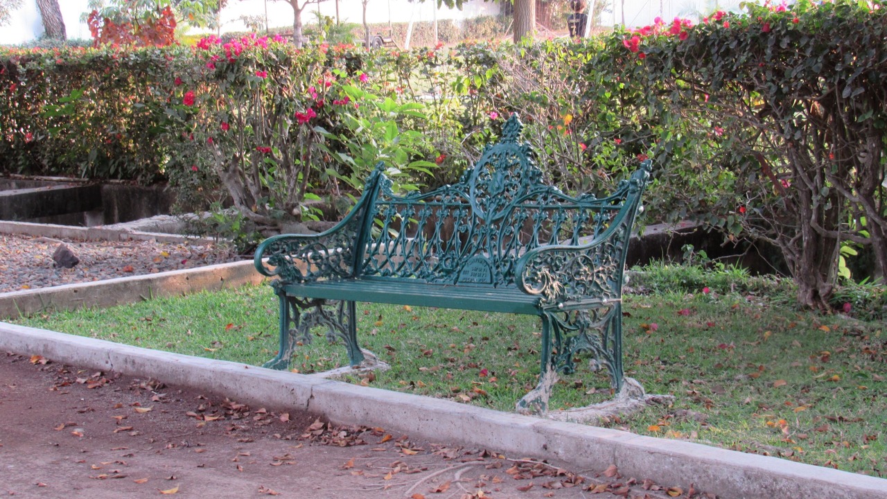 Photo of Outdoor in Las Jarretaderas