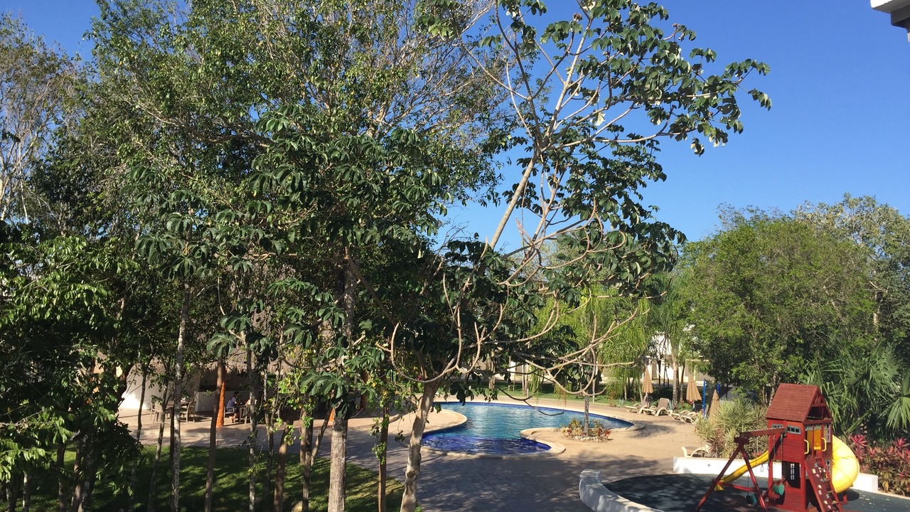 Photo of Others in Playa del Carmen