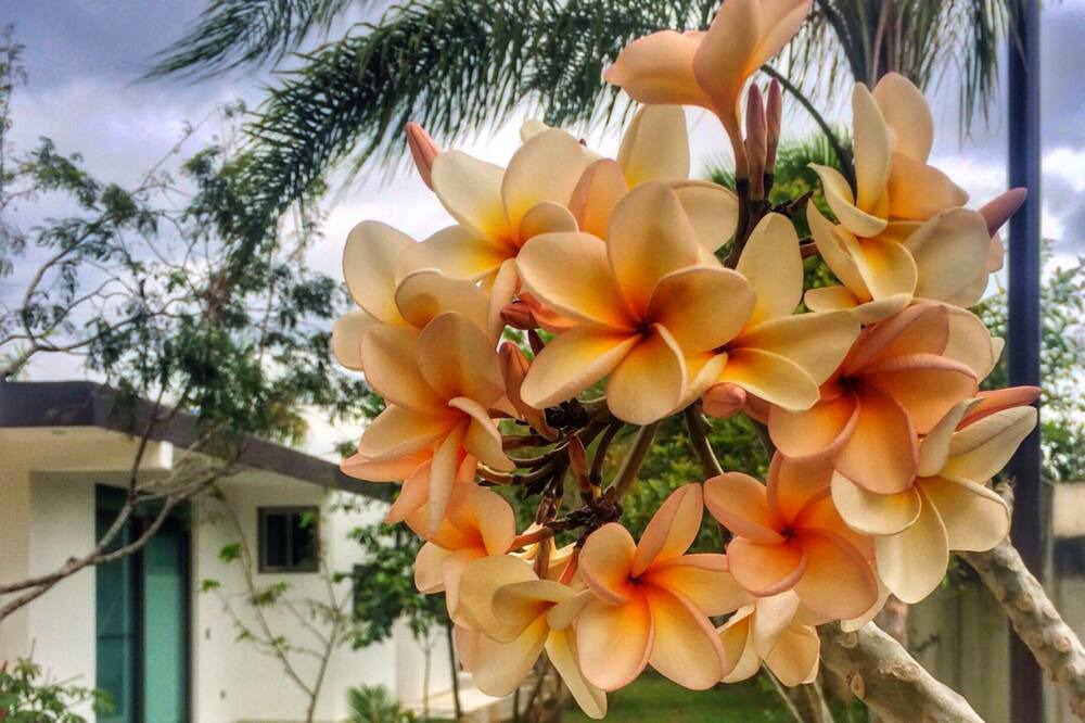 Photo of Outdoor in Puerto Morelos