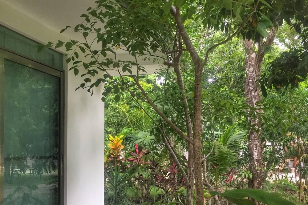 Photo of Others in Puerto Morelos