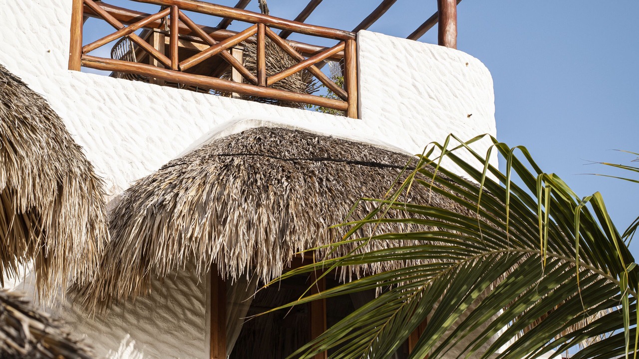 Photo of Outdoor in Isla Holbox