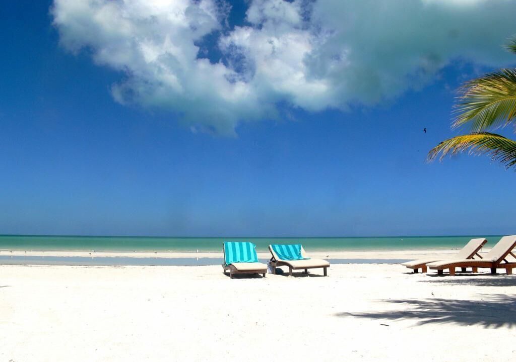 Photo of Others in Isla Holbox