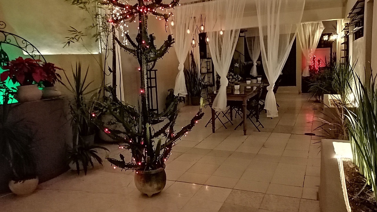 Photo of Outdoor in Zona Paseo Montejo