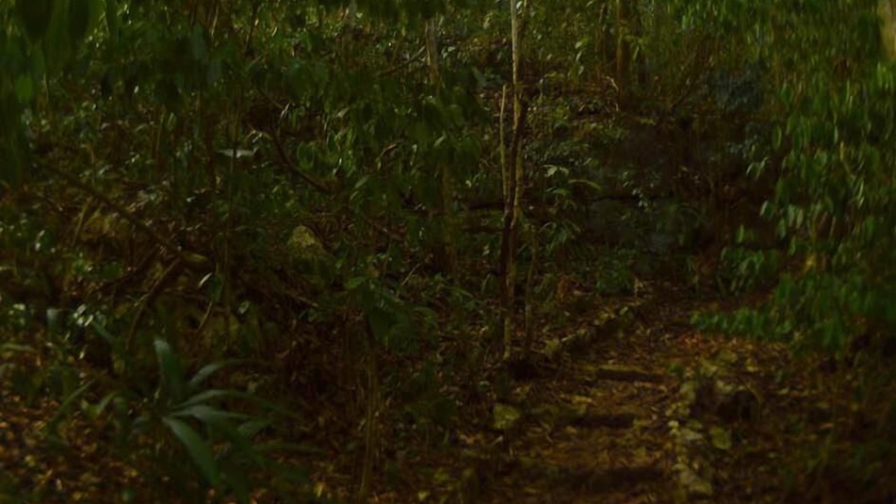 Photo of Outdoor in Gallo Giro