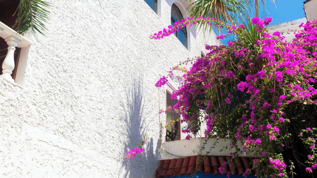 Photo of Outdoor in Centro