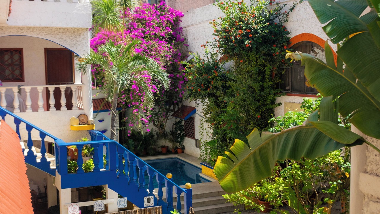 Photo of Outdoor in Centro