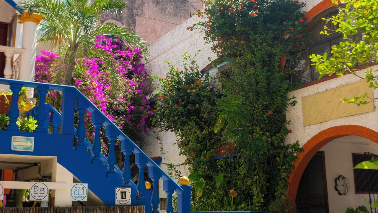 Photo of Outdoor in Centro