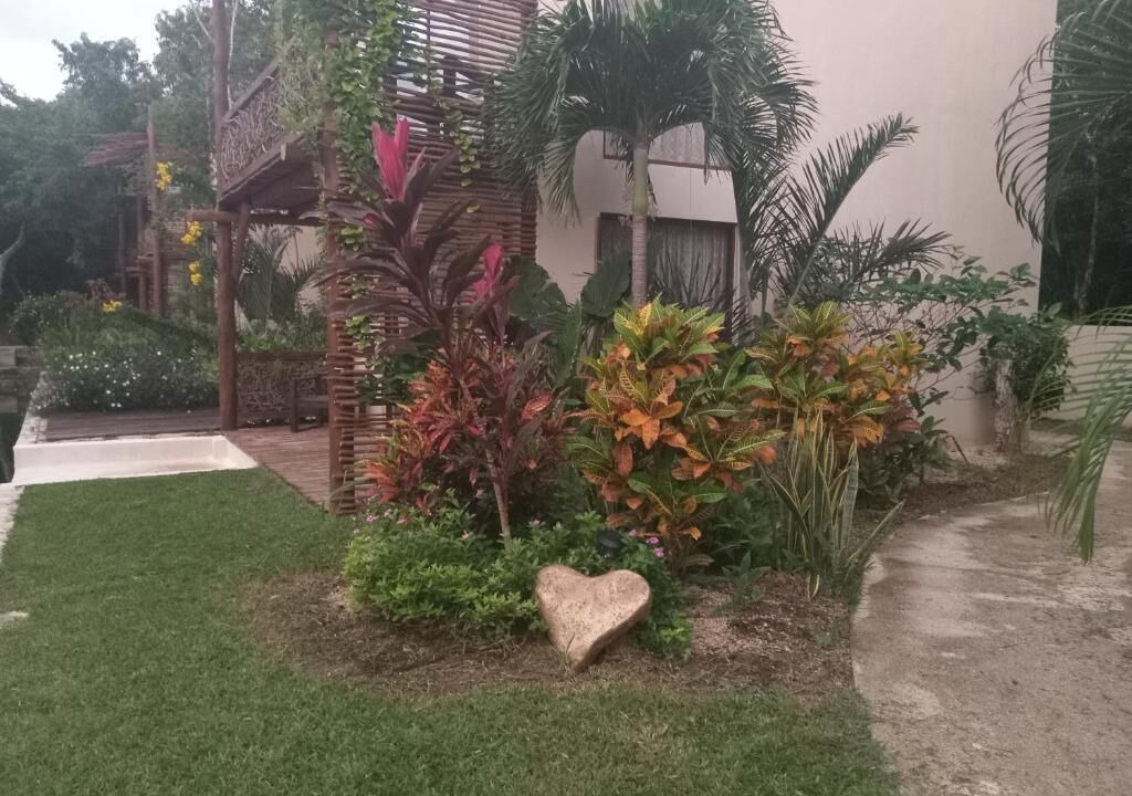 Photo of Outdoor in Chemuyil