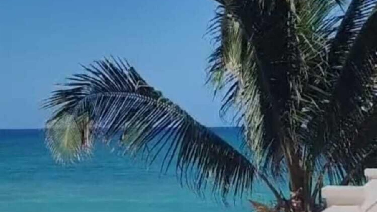 Photo of Others in Tulum City Center