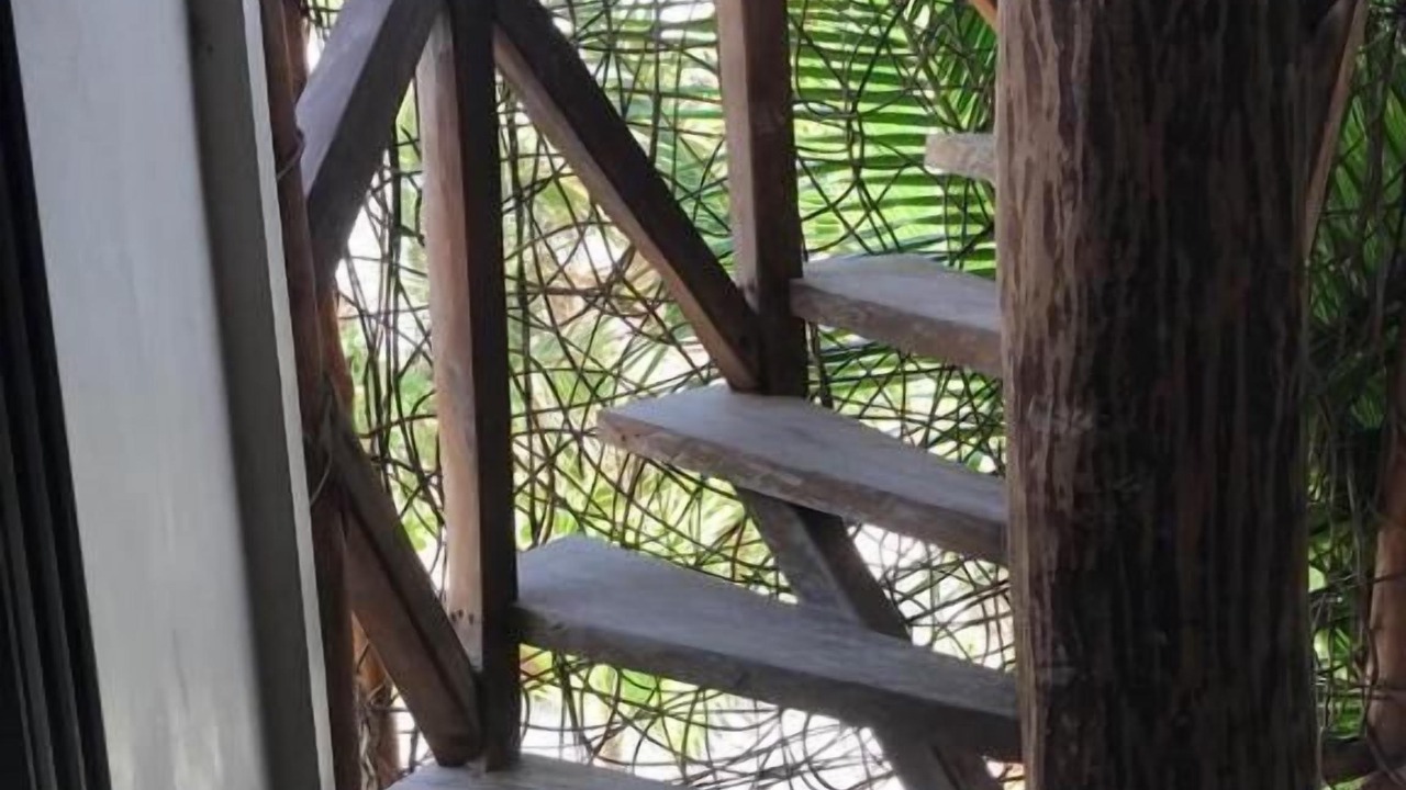 Photo of Others in Tulum City Center