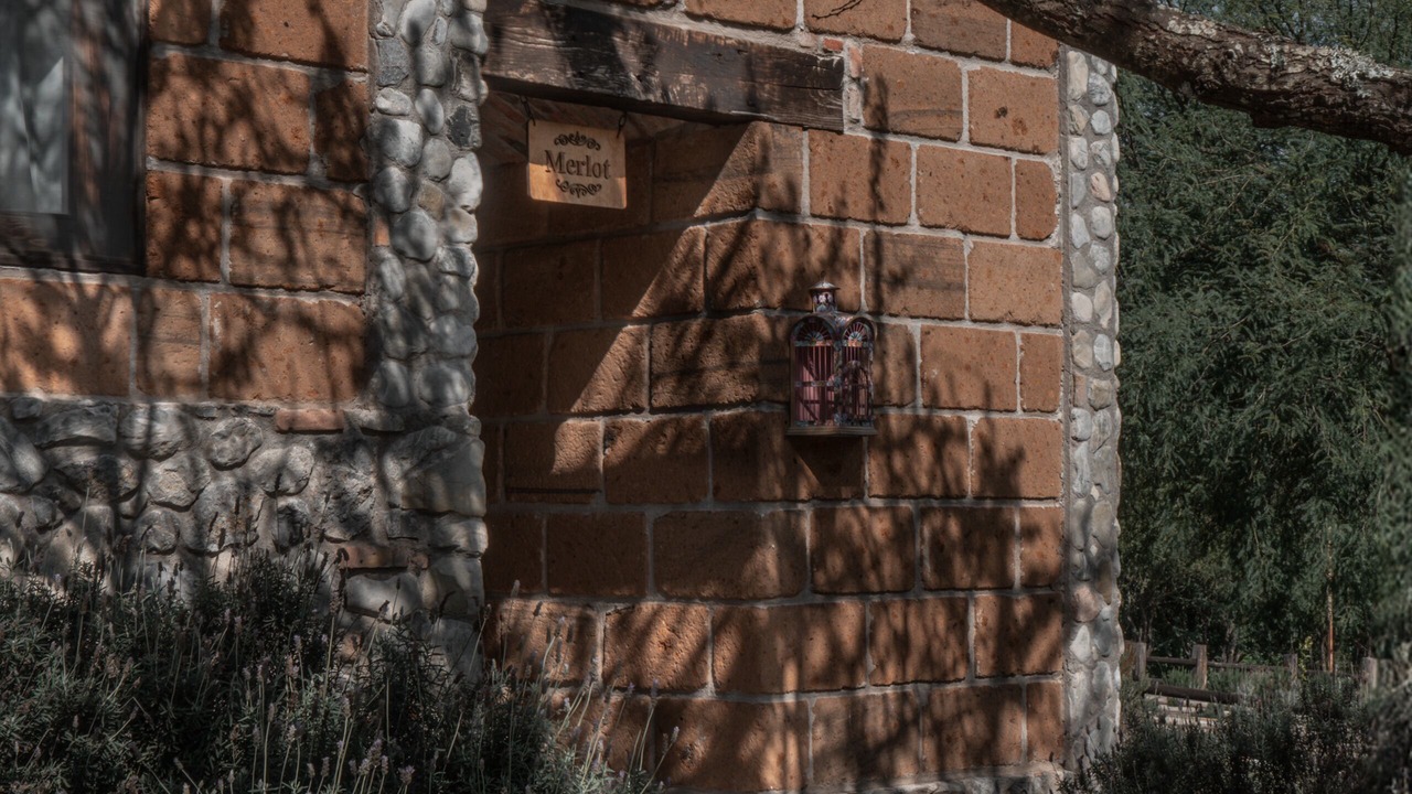 Photo of Outdoor in Armadillo de los Infante