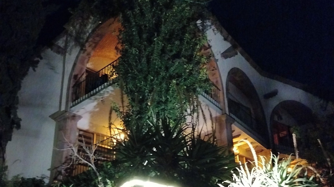 Photo of Outdoor in La Palmita
