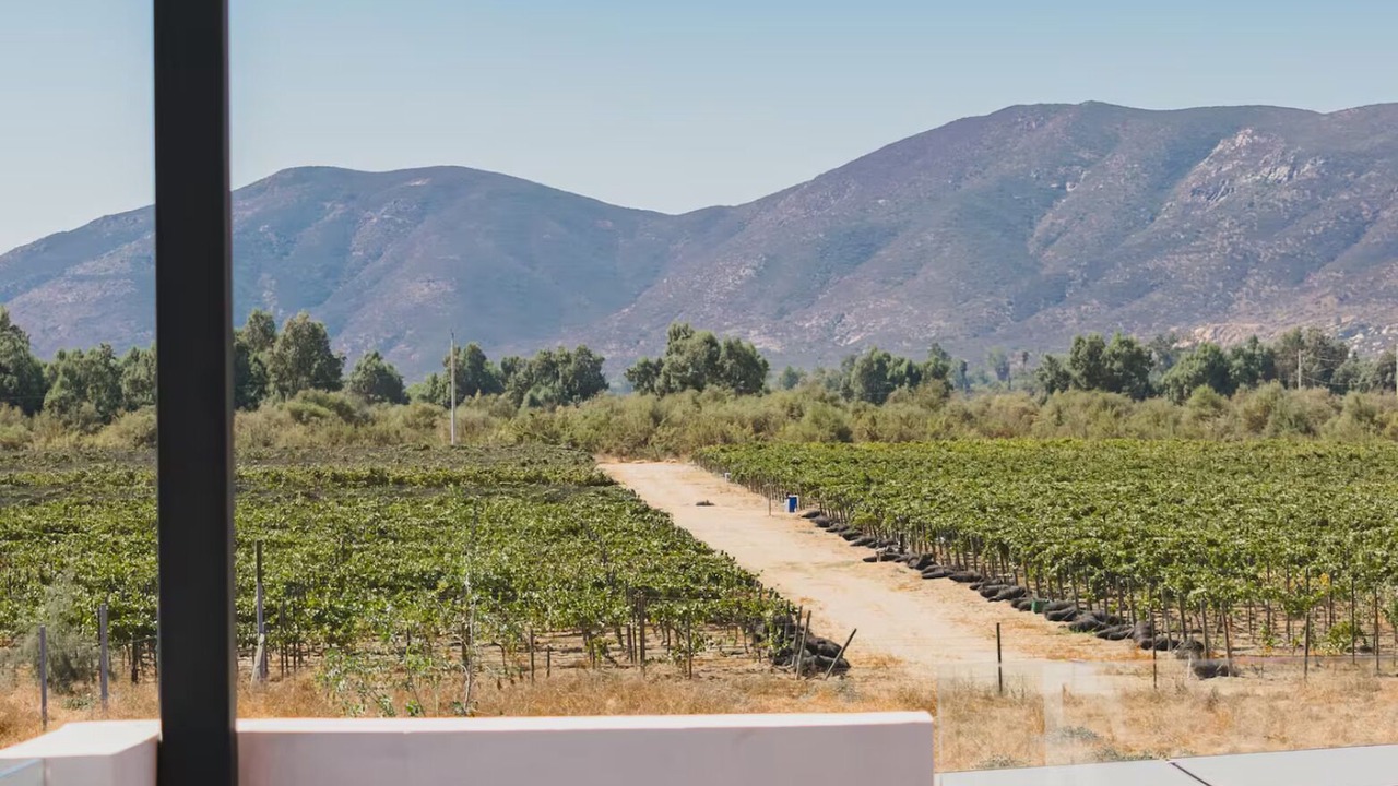 Photo of Others in Valle de Guadalupe