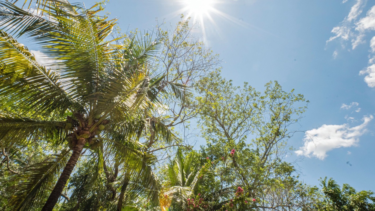Photo of Outdoor in Santa Elena