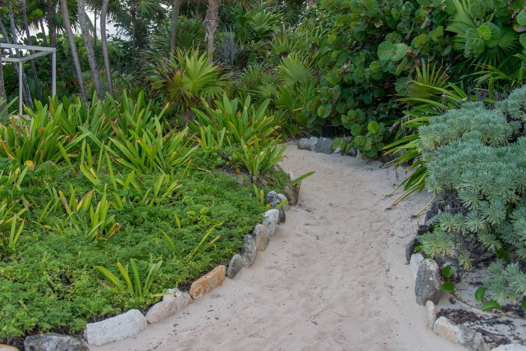 Photo of Outdoor in Villa Juarez