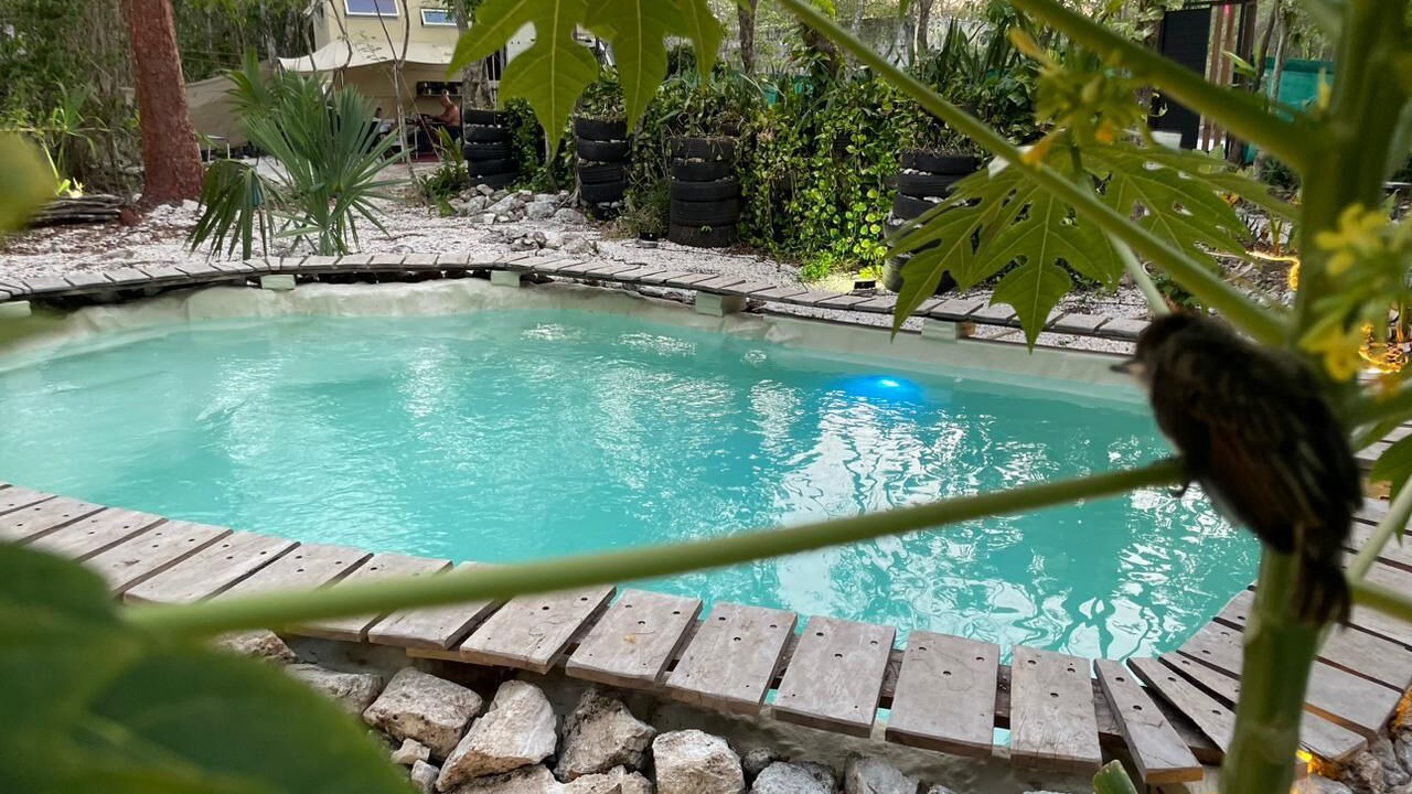 Photo of Outdoor in Cozumel