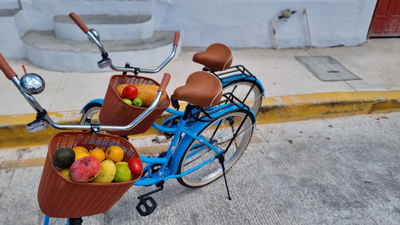 Photo of Outdoor in Salina Grande