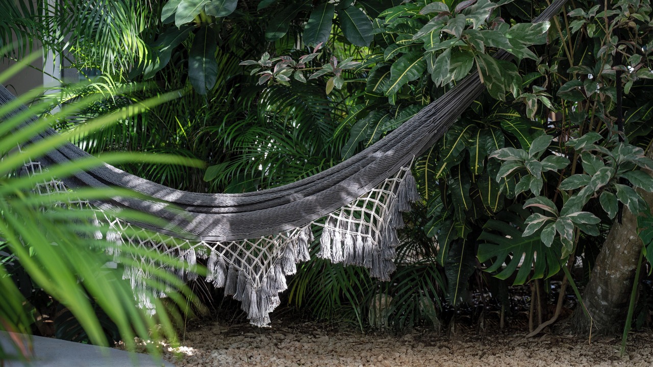 Photo of Outdoor in Centro - Supmza 001